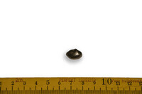 F 01730
          <br/>
          
          <br/>
          <em></em>